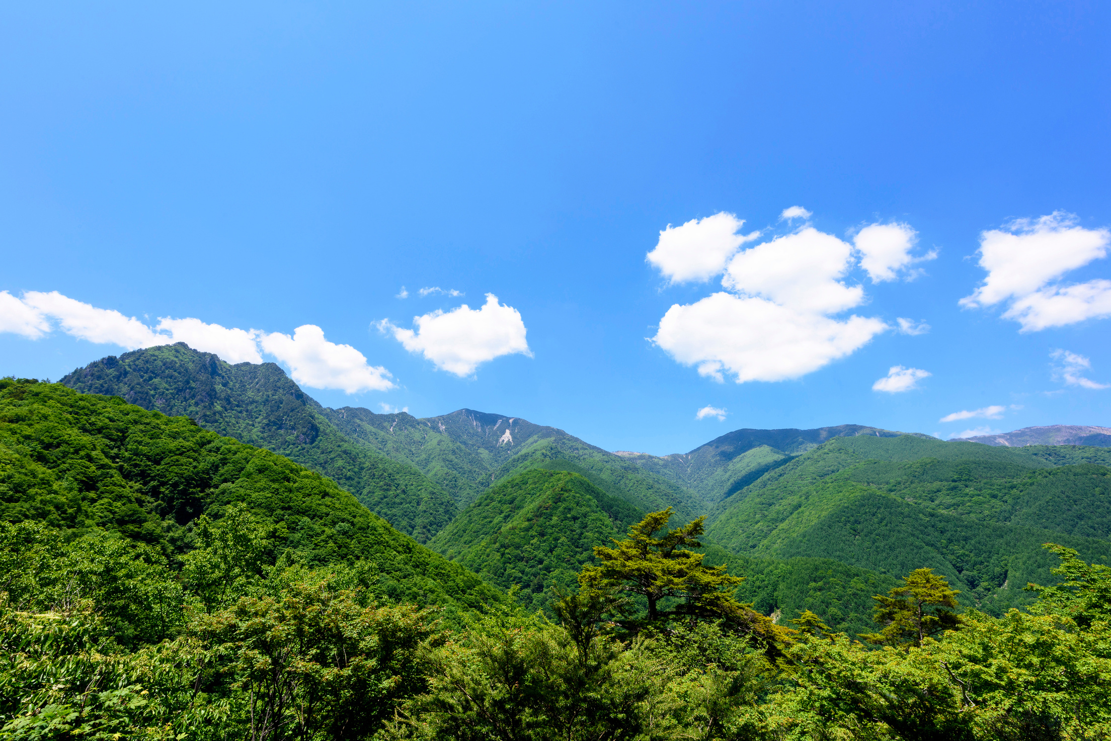 Green mountains in summer Japan